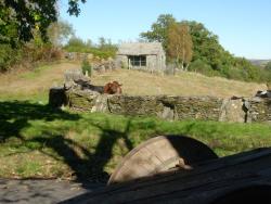 Graña de Cabanelas en Quintillán